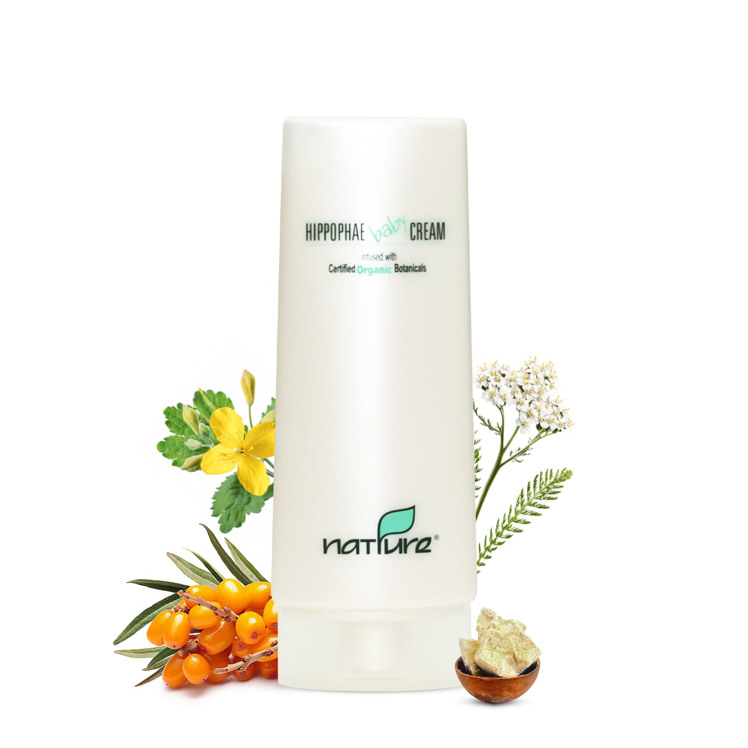 Hippophae Baby Cream