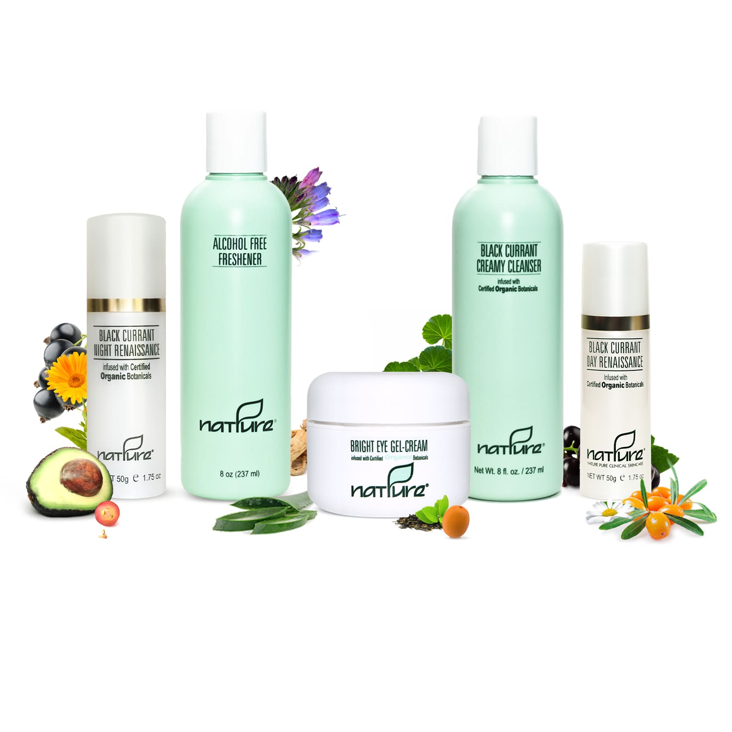 Black Currant Skin Renewal Set